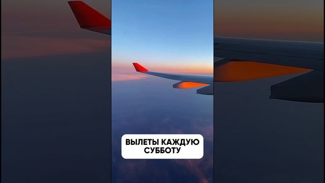 СУПЕР НОВОСТЬ ЕГИПЕТ ИЗ ВЛАДИКАВКАЗА ✈️ ЦЕНЫ ШОК смотреть онлайн