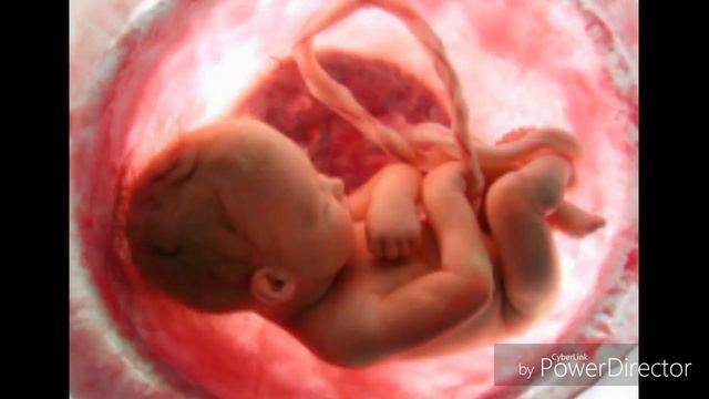 Dorilar va quloqlar HD смотреть онлайн