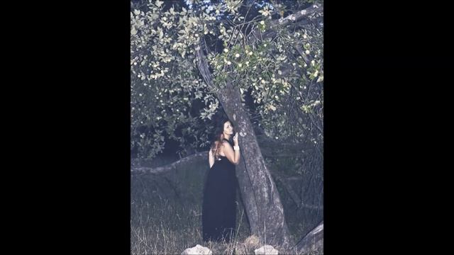Давтян Шагане - Я не забуду смотреть онлайн