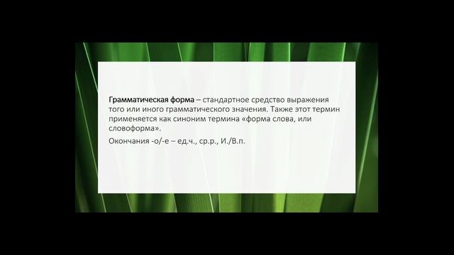 Тема 4 Грамматическая система русского языка морфология смотреть онлайн