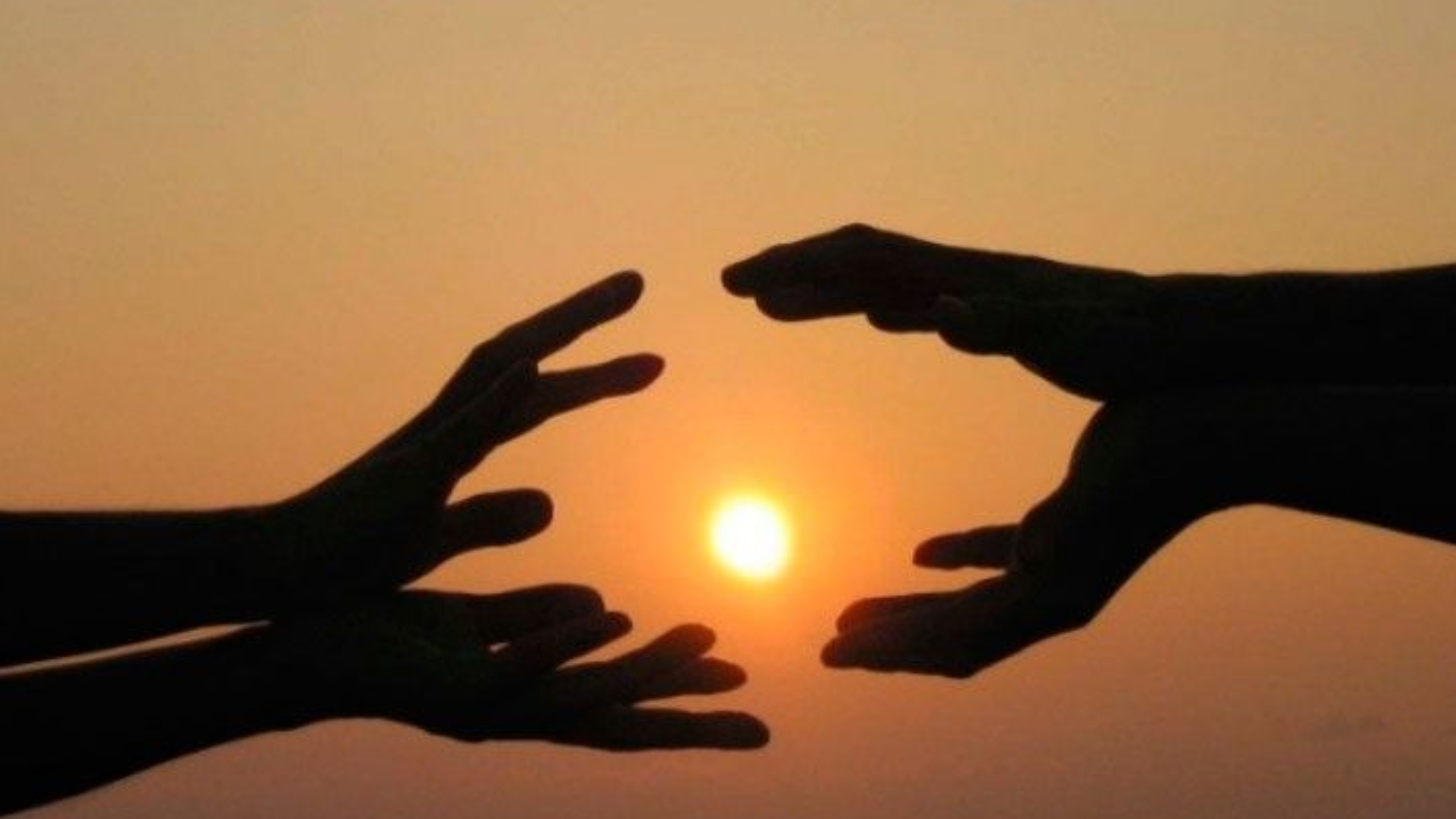 Смыслом в каждом шаге