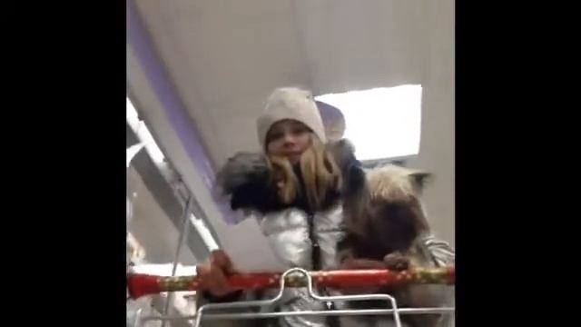 Неделя влогов// день 5// смотреть онлайн