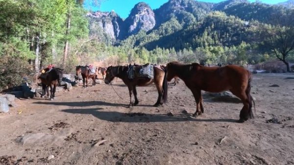 Bhutan 4/4: Amankora Paro | Finding Happiness