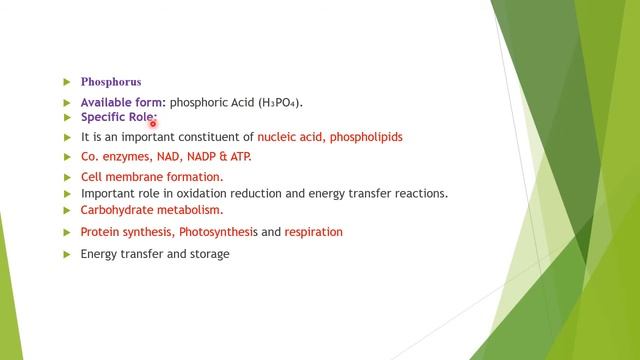 Mineral Nutrition in Plants | Manzoor Ahmed Wani | Green treasure смотреть онлайн