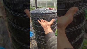 Вертикальная грядка для клубники .Начало эксперимента , большой обзор.