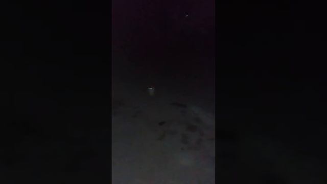 Кошечка Ванесса жива. смотреть онлайн