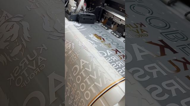 DTF печать #shorts #rutube #рутуб #печать #дтф #дтфпечать смотреть онлайн