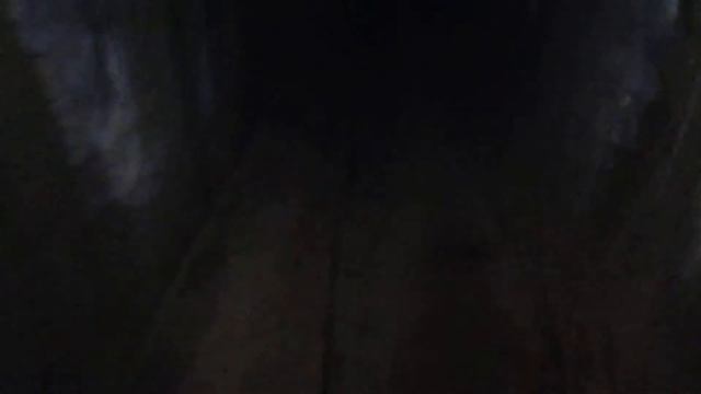 Der Ostwall in Polen - Mit der Wathose tief unten im Nazibunker [Teil 1] смотреть онлайн