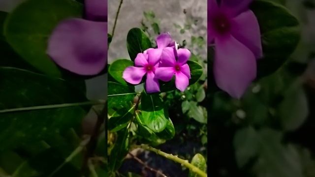 28 May 2023 смотреть онлайн