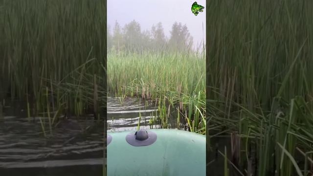 Рыбалка - как хочется лето