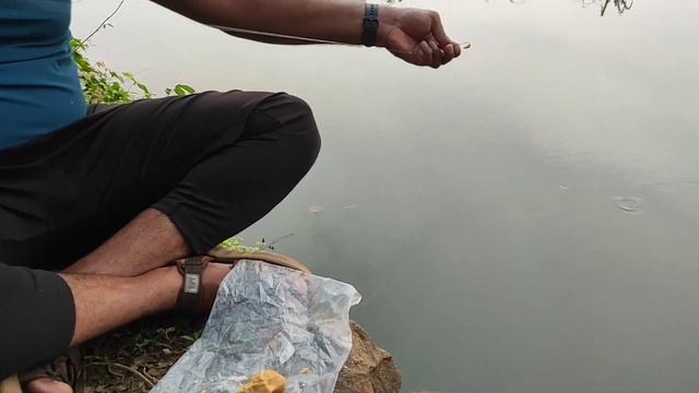 ഈ തീറ്റ മതി ഏത് മീനും ചൂണ്ടയിൽ കൊത്തും | This feed is enough that any fish will bite the bait смотреть онлайн