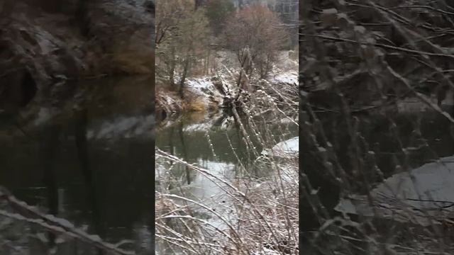 Река Таруса, чистое пространство и Бобровый Мыс #Река #Таруса смотреть онлайн