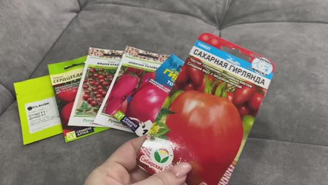 Запаслась семенами томатов на сезон 2025 смотреть онлайн