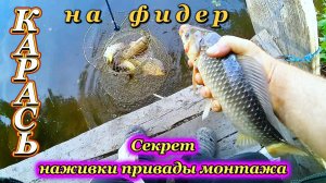 Ловля КРУПНОГО КАРАСЯ на фидер. Карась идёт!