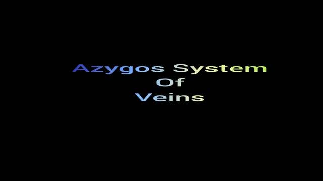 Sketches of Arterial Supply of heart and Azygos System of veins смотреть онлайн