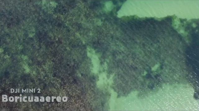 DJI MINI 2 | Great history at Plymouth MA (footage) смотреть онлайн