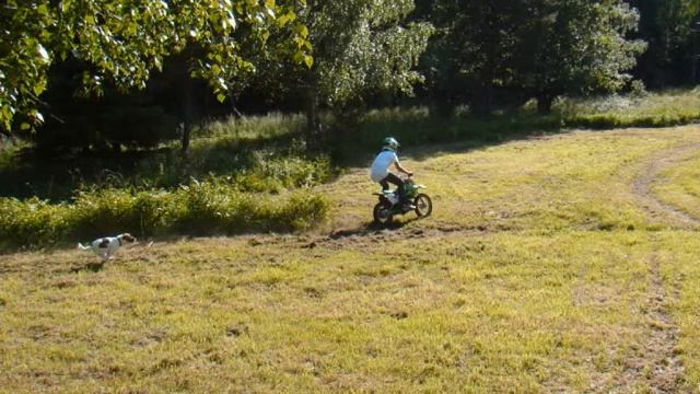 Honda crf 150r, klx110, outlander 800 смотреть онлайн