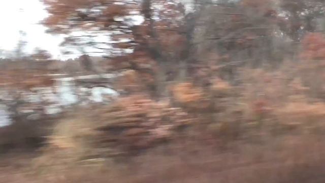 Vlog #7 EVO X Gets A Wash, Yeezy 2.0, NYC Tings