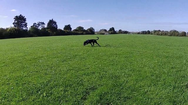 Tail Blazers Plymouth #Akaso Brave 7