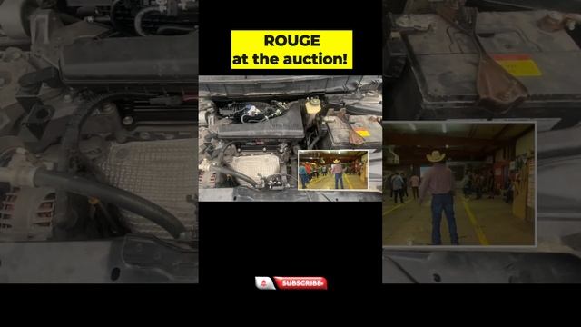 🚗🚙 Nissan Rogue Auction Adventure: From Bid to Drive Swing or Miss 🏁🚗 #subastadecarros смотреть онлайн