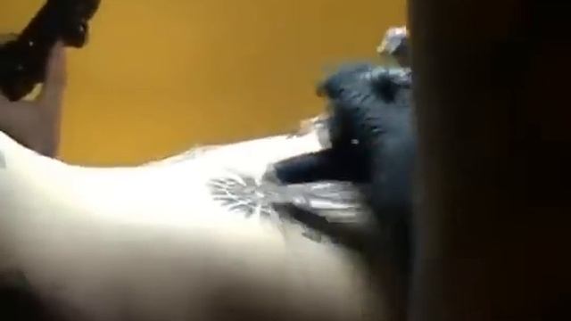 Dr. Numb United Kingdom Review_ Painless Ribs Tattoo - Tats By Chris, Miami FL.mp4