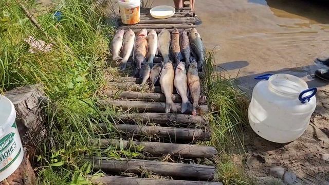 Выг озеро 2024(2часть)