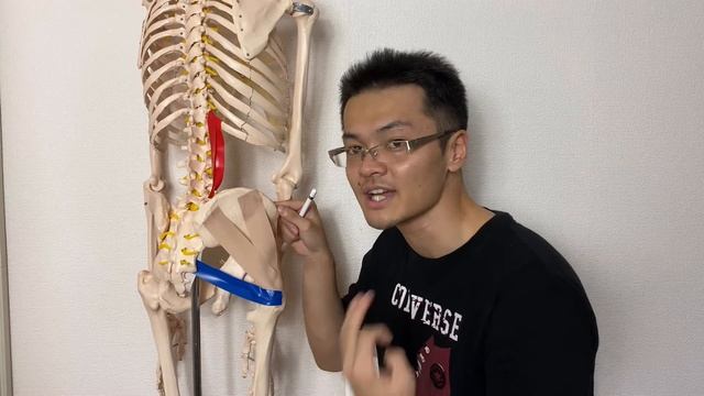 Low back pain can be from these 3 muscles(English) смотреть онлайн