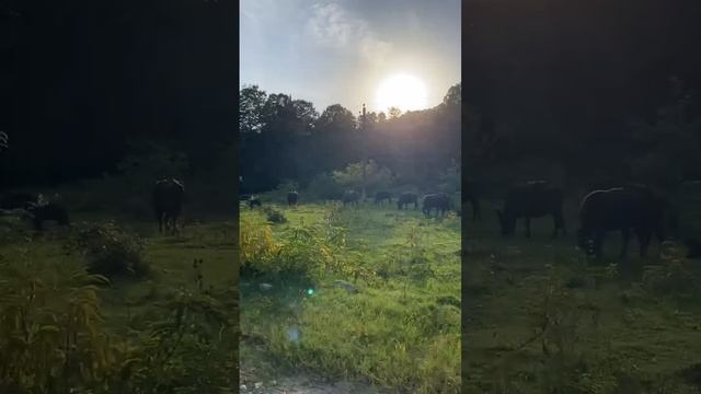 Кто это? Кто нибудь знает? смотреть онлайн