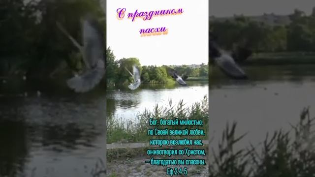 Христос воскрес смотреть онлайн
