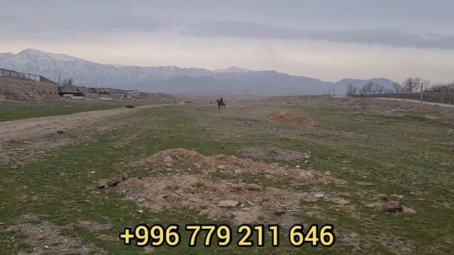 ай шамал шамал пытырайт го жаныбар 👆 БЭЭ БАЙТАЛ  САТЫЛАТ