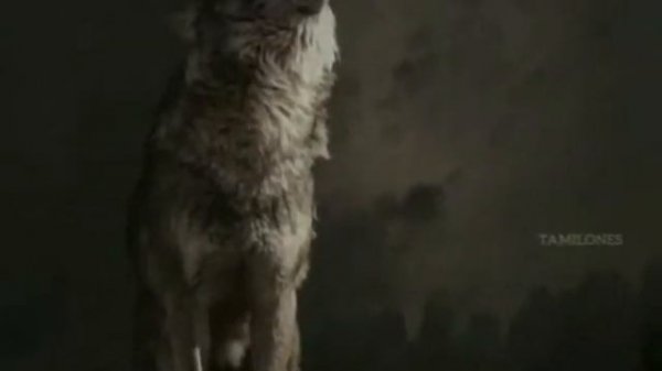 Ерболат Құдайбергенов - Тағдыр