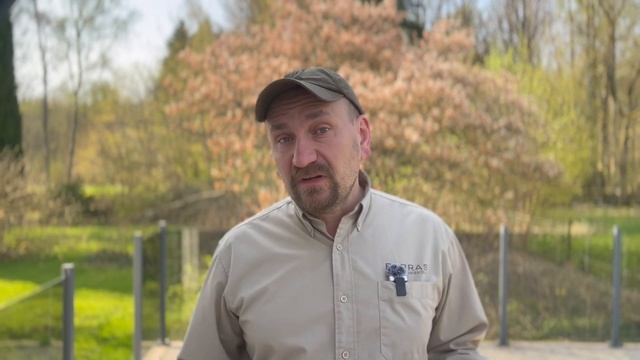 Få en bättre hund genom att tänka i Motsatser och göra Tvärt om смотреть онлайн