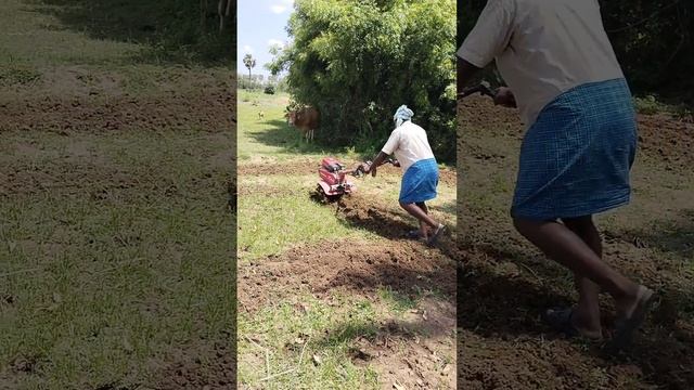 Honda Power Weeder Fj500 Villupuram Tamil Nadu 7667275444 смотреть онлайн
