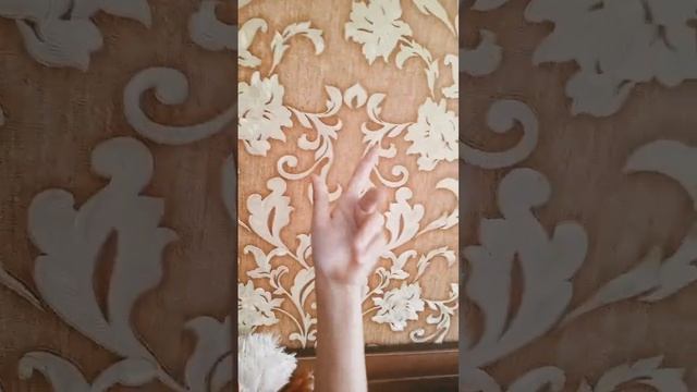 Вот што будет эсли эсть пельмени каждий день смотреть онлайн