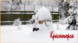 Волшебная зима в Красногорске.