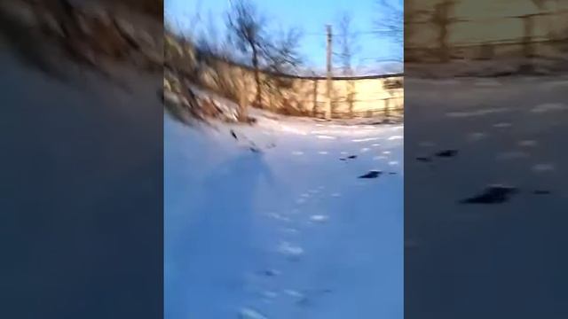 Бігав по снігу в шортах Холодноо!!!! смотреть онлайн