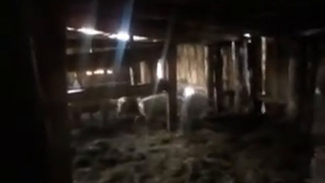 Этническая обыденность 6/6 смотреть онлайн