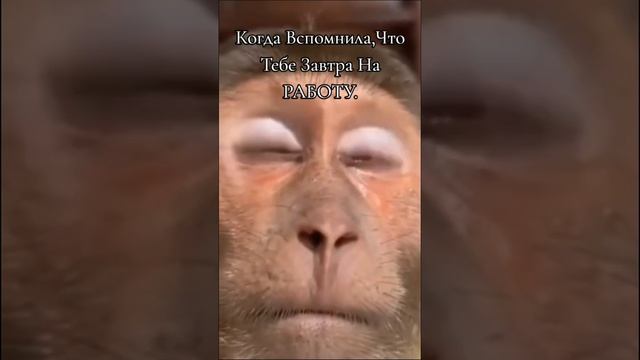 И Смех И Грех