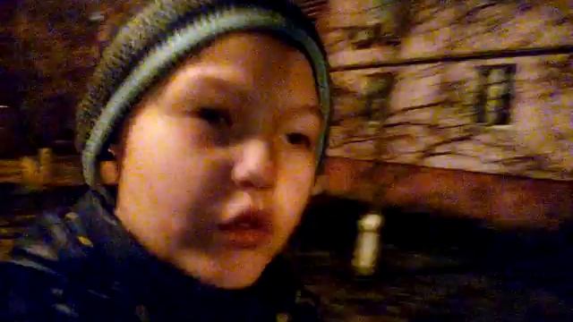 Прогулка вечером(2) смотреть онлайн