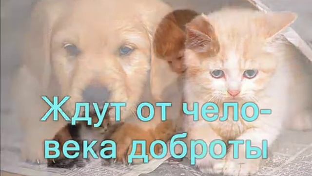 Горы, море и холмы смотреть онлайн