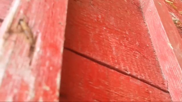 Город Махачкала и мой полигон смотреть онлайн