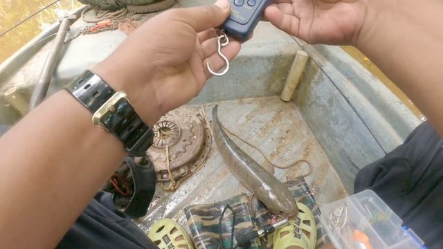 Cuba menduga spot 'Papua' de lubuk buntar_mengcakok saiz idaman 1.5kg #saizidaman #casting #haruan смотреть онлайн