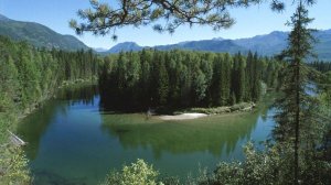 "Заповедные тропы России" - эко-путешествие