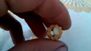 Маточник на мисочке из шприца.