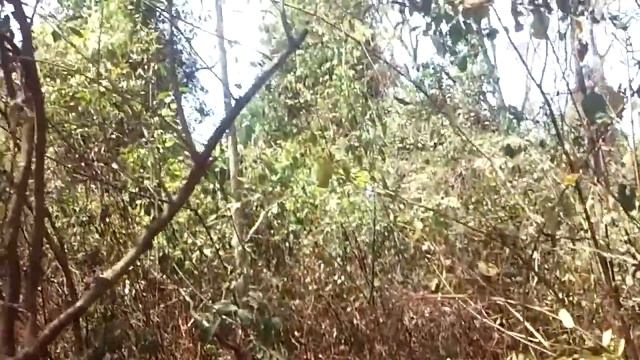 Mata seca - setembro de 2020 смотреть онлайн