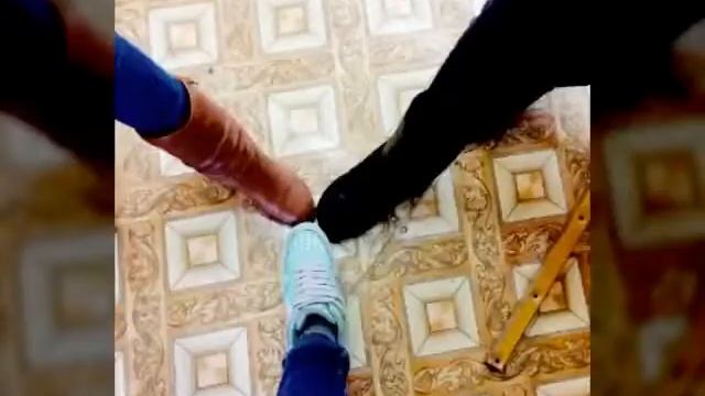 тройки DND смотреть онлайн