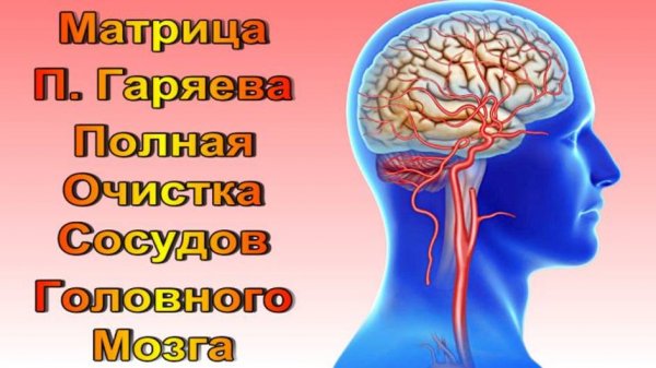 Матрица Гаряева Полное 100%  Очищение сосудов Головного Мозга