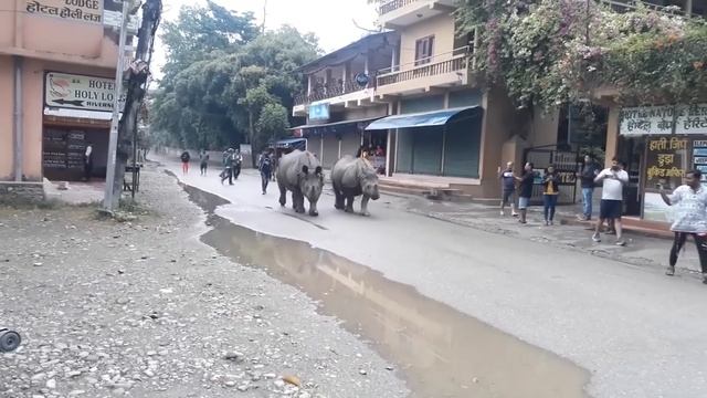 Индия Не для Новичков