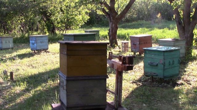 MVI_1447 смотреть онлайн