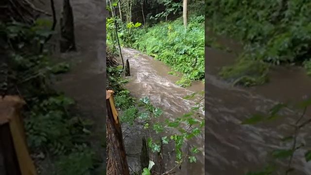 Der Regen macht sich bemerkbar - Die Pegel der kleinen Bäche steigen смотреть онлайн